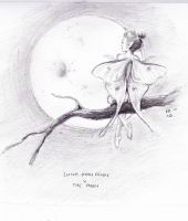 Luna Moth Fairy and the Moon